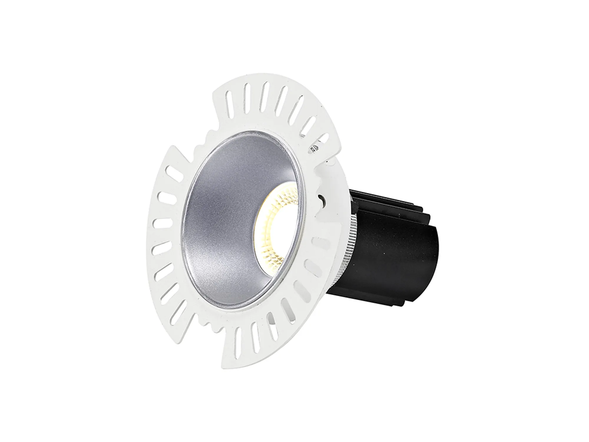 Basy A 12 Tridonic Powered 12W 2700K 1200lm 36° CRI>90 LED Engine Silver Adjustable Recessed Spotlight, IP20 DM201861  Dlux Basy A 12